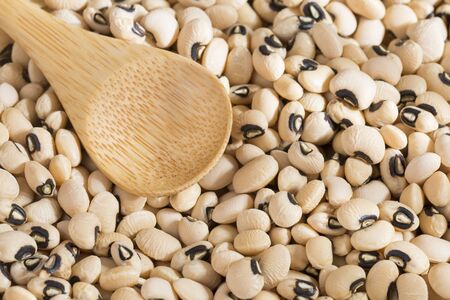 Black eye bean - Vigna unguiculata
