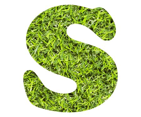 Letter S - Artificial green grass background.の写真素材