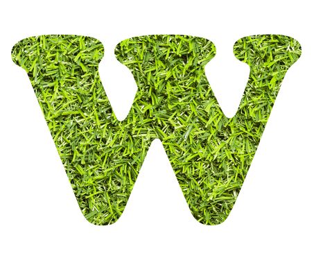 Letter W - Artificial green grass background.の写真素材
