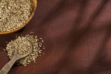 Foeniculum vulgare - Dry organic fennel seedsの写真素材