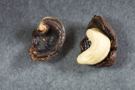 Cashew nuts on the table - Anacardium occidentaleの写真素材