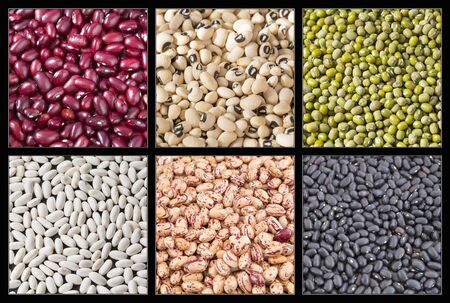 Variety of beans - Black eye bean, Pinto, red, Mung, white, blackの写真素材