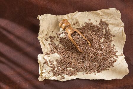 Linseed organic seeds - Linum usitatissimum