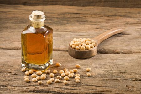 Glycine max - Organic soy beansの写真素材