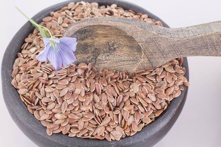 Flax Seeds and Flower - Linum usitatissimumの写真素材