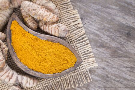 Turmeric powder and fresh turmeric - Curcuma longa.の写真素材