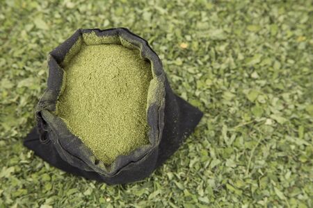 Moringa nutritional plant - Moringa oleiferaの写真素材