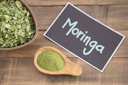 Moringa nutritional plant - Moringa oleiferaの写真素材