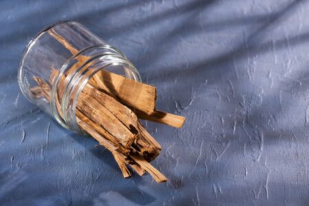 Cat's claw with anti-inflammatory properties - Uncaria tomentosaの写真素材