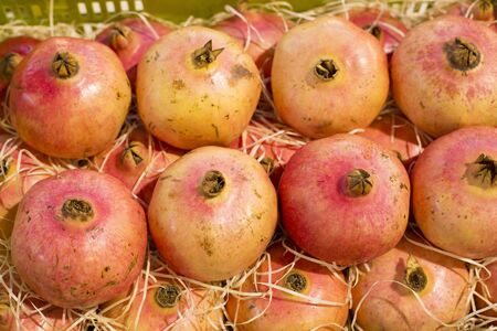 Pomegranate is a fruit with a high antioxidant power - Punic granatum