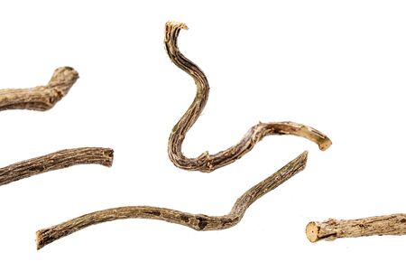 Dried stems of medicinal valerian - Valeriana officinalisの写真素材