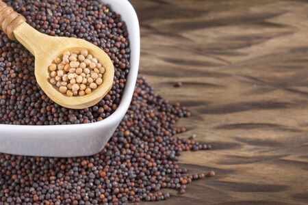 Yellow and Black Mustard Grains - Text Spaceの写真素材
