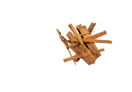 Uncaria tomentosa Amazon climbing plant - White backgroundの写真素材