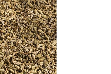 Foeniculum vulgare - Dry organic fennel seeds. Text space