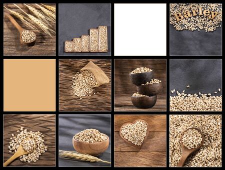 Creative collage of pearl barley images - Hordeum vulgareの写真素材