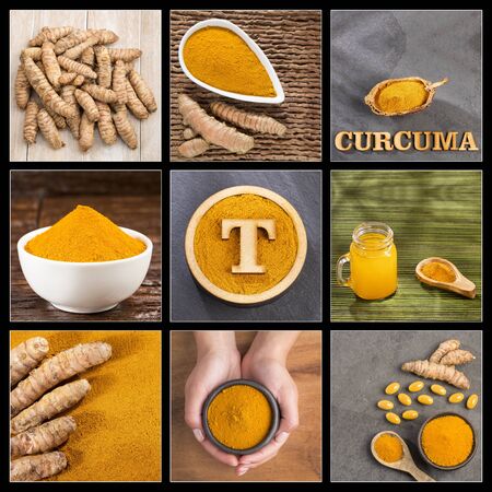 Curcuma longa - Creative collage of turmeric imagesの写真素材