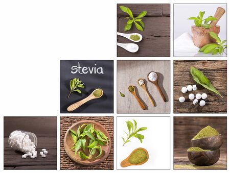 Creative collage of Stevia rebaudiana imagesの写真素材