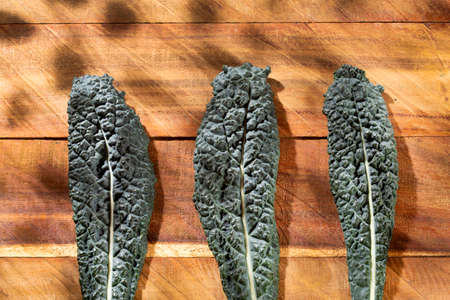 Kale cabbage leaves - Brassica oleracea var