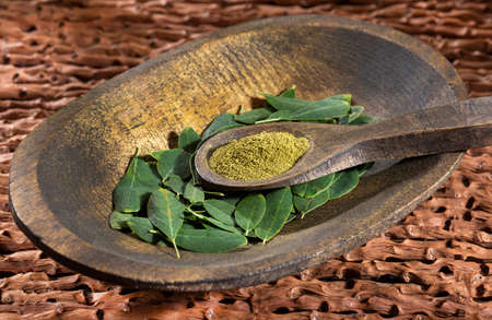 Moringa oleifera - Organic moringa powder, fresh leavesの写真素材