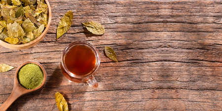 Peruvian coca dried leaf tea - Erythroxylum cocaの写真素材