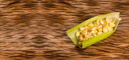 Zea mays - Young corn kernels grown in the fields of Colombiaの写真素材