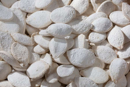 Organic white pumpkin seeds - Cucurbita maxima