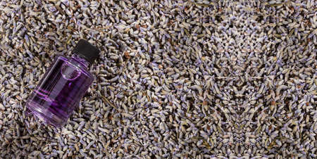 Lavender essential oil glass bottle with dried lavender flowers - Lavandula