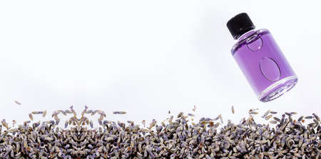 Essential Organic Lavender Oil in Glass Bottle with Dried Flowers - Lavandulaの写真素材