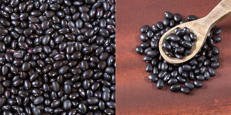 Phaseolus vulgaris' Black turtle - Raw black beans.