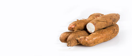 Yucca root with high value starches - Manihot esculenta.の写真素材
