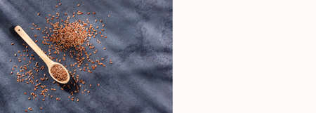 Linum usitatissimum - Flaxseeds with omega 3 capsulesの写真素材