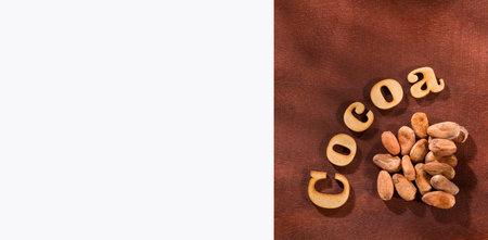 Organic cocoa beans on a wooden table with white copy spaceの写真素材