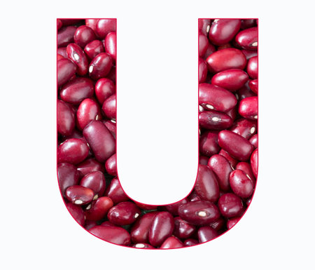 Alphabet Letter U - Red adzuki bean - Phaseolus vulgarisの写真素材