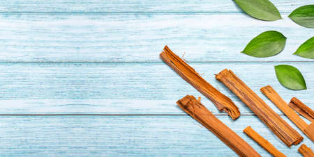 Uncaria tomentosa bark on wooden table - Amazon climbing plantの写真素材