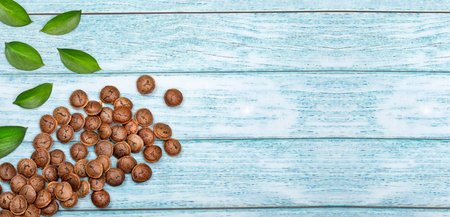 Dried seeds of sacha fruit - Inchi peanuts - Plukenetia volubilisの写真素材