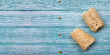 Luffa operculata - Fibrous vegetable cleaning spongeの写真素材