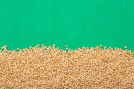 Organic white millet seeds - Green background