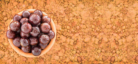 Exotic fruit of the jabuticaba - Plinia caulifloraの写真素材