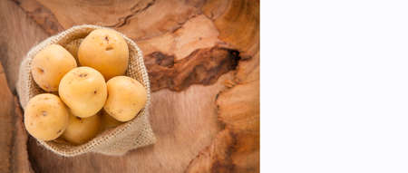 Solanum phureja - Organic yellow creole potatoの写真素材