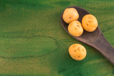 Organic yellow creole potato - Solanum phurejaの写真素材