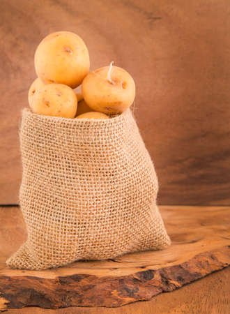 Solanum phureja - Organic yellow creole potatoの写真素材