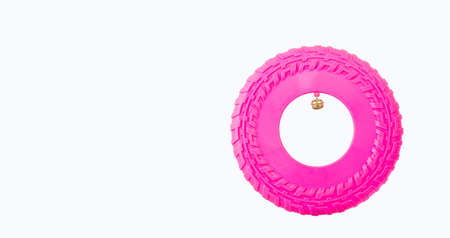 Plastic flying disc toy for pets - White backgroundの写真素材