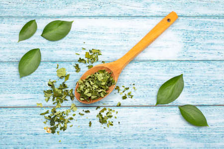 Moringa oleifera with many benefits, vitamins, minerals and multiple medicinal properties for the bodyの写真素材