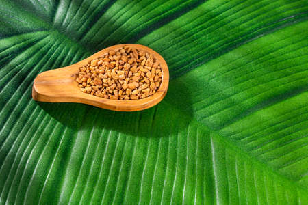 Organic fenugreek Seeds - Methi Dana. Healthy foodの写真素材