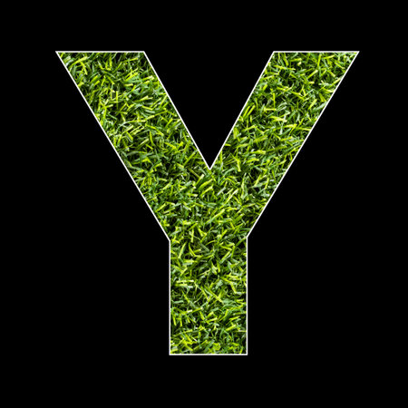 Uppercase letter Y - Artificial grass background textureの写真素材