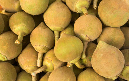 Quararibea cordata - Sapote fruit in the traditional Colombian market