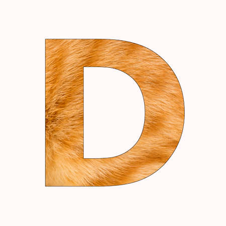 D letter uppercase alphabet - Yellow Cat Fur Backgroundの写真素材