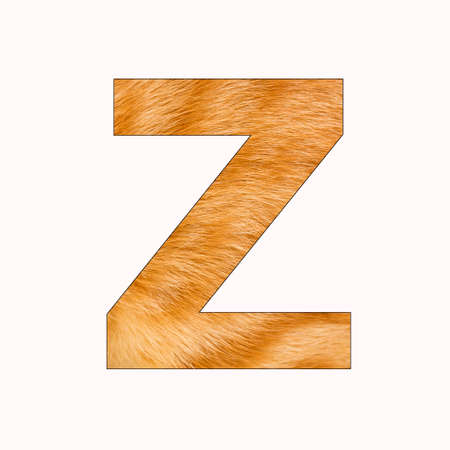 Alphabet Letter Z - Cat Fur Backgroundの写真素材