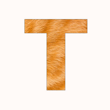 Alphabet Letter T - Cat Fur Backgroundの写真素材