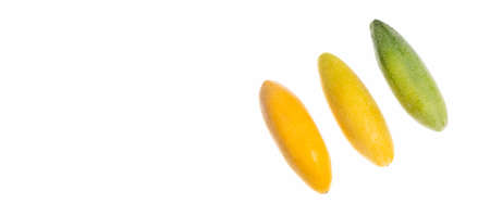 Passiflora tripartita - Exotic tropical organic curubaの写真素材